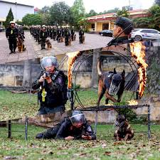 Trung tâm huấn luyện động vật nghiệp vụ đón nhận Huân chương Chiến công  hạng Ba