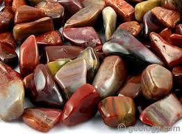Petrified Wood Stone Google Search Petrified Wood Gemstones Wood Stone