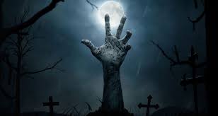 Japanese horror flicks are the best xd. Happy Halloween Our Top 5 Scary Movie Recommendations
