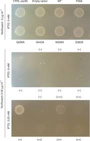 Citeste acum toate articole despre oug 79/2017 pe digi24.ro. Structural Basis For Xenobiotic Extrusion By Eukaryotic Mate Transporter Nature Communications