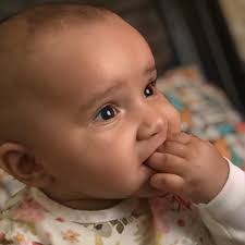 Nyla Ahmed Khan (@nyluli) • Instagram photos and videos