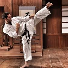 Scott Adkins Side Kick Martial Arts Actor Martial Martial Arts