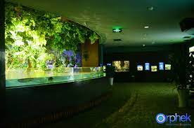 Amazon Flooded Forest 1 Led Aquarium Lighting Public Aquarium Led Light Projects