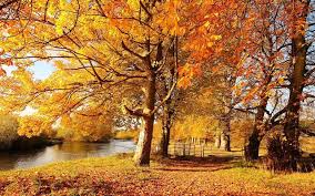 Herfst Wallpapers Herfstfoto S Herfst Landschap Achtergronden Foto Ideeen