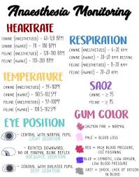 The normal values for blood pressure, pulse rate, and respiratory rate change as the newborn/infant/child grows and ages. Canine Feline Anesthesia Guide Vettech Vet Tech School Vet Medicine Vet Tech Student