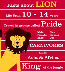 Interesting Facts About Lion For Kids Education Lion Facts For Kids Fun Facts For Kids Lion Facts