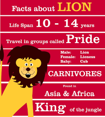 A snail can sleep for three years at a time. Pin On Lion Facts For Kids