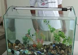 Select from distinct diy aquarium decorations at alibaba.com to enhance the aesthetic appearance of your interior decor. Create Yourself A Diy Aquarium For Your Underwater Friends