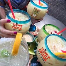 Start studying velvet cactus menu. The Velvet Cactus Baton Rouge