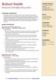 With a few changes to the responsibilities section, this job description can be used for any chief financial officer, vp of finance or director of finance position. Financial Aid Officer Resume Samples Qwikresume