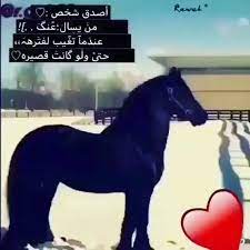 بنات لايكات لايك تصميم رمزيات صوره حب اكسبلور فلو my تصويري الطائف الان الدمام بنات لايكات لايك تصميم رمزيات صوره حب اكسبل horses animals ramah