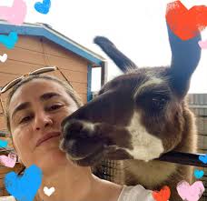 Kids parties, weddings, bar mitzvahs, trade shows and more. Petting Zoo At Traders Village Home Facebook