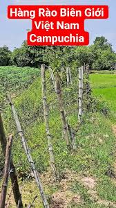 Hàng rào biên giới Việt Nam - Campuchia tại khu vực nông thôn Tây Ninh |  Jocelyn Minh Tue | Facebook