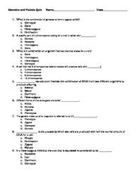 Activity 1 mitosis and meiosis key names consider an organism with a diploid number of 4 for each of the following stages of mitosis and meiosis 1 within the. Meiosis Questions And Answers