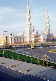 عرعر المعرفة