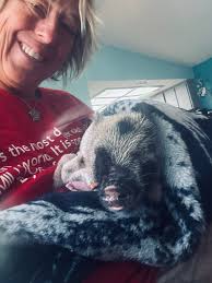 Hi all. Just a bit of assistance. After looking at some of the babies