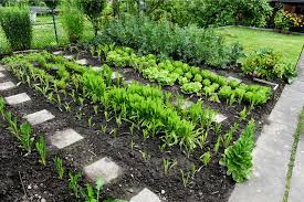 We did not find results for: Duden Beet Rechtschreibung Bedeutung Definition Herkunft