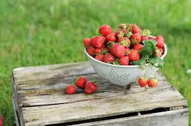 Strawberries are in abundance and what a better way to use these new gadgets!get it here via amazon: The Best Strawberry Huller Buying Guide Review Knifeverge