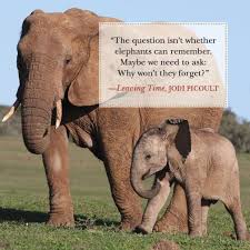 Leaving Time Jodi Picoult Elephant Facts Animal Facts Elephant