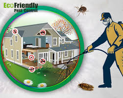 Learn why pest and termite control is important to you. Pest Control Oakford