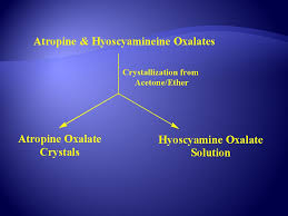 As the acid/base method is so common, i am wondering if there are any downsides to the method described above that i am unaware of. Alkaloids Definition The Term Alkaloid Alkali Like Is Commonly Used To Designate Basic Heterocyclic Nitrogenous Compounds Of Plant Origin That Are Ppt Video Online Download