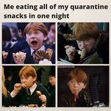 Ron Weasley Food King Harry Potter Wizard Harry Potter Memes Hilarious Harry Potter Jokes
