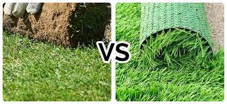 Our partners and us collect data and use cookies, email pixels and similar tools to enhance your experience, analyse traffic and for ad personalisation and measurement. Which Is Better Real Turf Or Artificial Grass