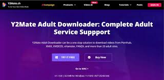 Top 5 Porn Video Downloader for MacWindows PC (2023)