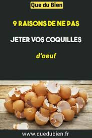 Epingle Sur Astuce Jardin