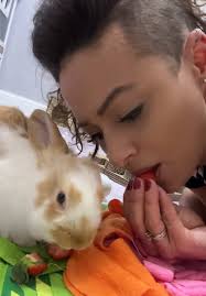 Palmer Hollow Bunny Baby Binks