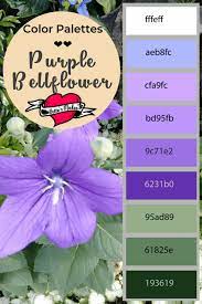 Color Palette Weekly Pin Purple Bellflower Diy Crafts For Teens College Diy Crafts Diy Crafts For Adults