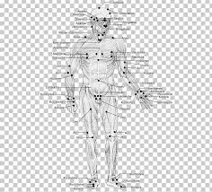 Marma Points Of Ayurveda The Energy Pathways For Healing