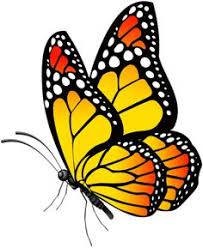 53 Ideas De Mariposas Y Coquitos En 2022 Disenos De Unas Manualidades Dibujos De Mariposas