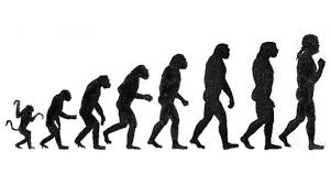 Check spelling or type a new query. Explained Snippets Two Of Three Indians Accept Evolution Led By Four Of Five In Delhi Says Study Explained News The Indian Express