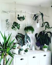 Olivra Homedecor On Instagram Hanging Houseplant Collection Share With One Of Your Friends Fo House Plants Indoor House Plants House Plants Decor
