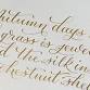 Nib Pen Calligraphy event image