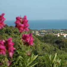 Il sito più completo di appartamenti e ville all'isola d'elba in affitto per vacanze estive. Case Vacanza Le Sughere Isola D Elba Home Facebook