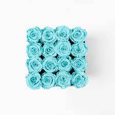 Flowers by tiffany, llc has been proudly serving stafford, missouri city, and sugarland since february of 2002. 16 Preserved Tiffany Blue Roses In White Box Infinity Roses