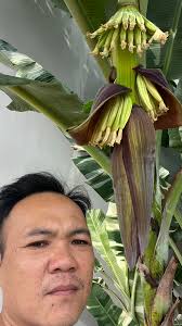 Chốt đơn nha Hà Trần