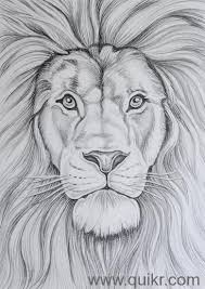 Imagen De Http Teja7 Kuikr Com I4 20140107 1636066317 1362639737 Jpg Pencil Drawings Of Animals Animal Drawings Sketches Realistic Animal Drawings