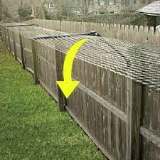 Create a spot for cats, away from your garden. How To Stop Cats Pooping In Your Garden 12 Ways Tuxedo Cat
