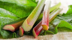 Das stimmt so jedoch nicht. Rhabarber Zubereiten So Wird Das Fruchtige Gemuse Lecker Ndr De Ratgeber Kochen Warenkunde