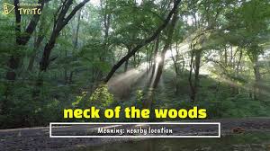 Neck Of The Woods English Idioms And Phrases Idioms And Phrases English Idioms Idioms