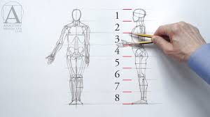 Human anatomy, or anthropotomy, is a special field within anatomy and studies structures and systems of the human body. Human Figure Proportions Anatomy Master Class Youtube