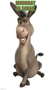 Donkey From Shrek Memes Gifs Imgflip