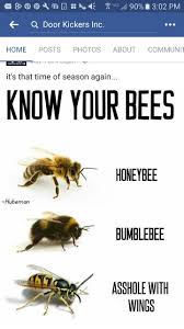 Pin By Pam White On Bees Stupid Memes Funny Stupid Funny Memes