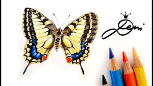 4 Blauling Zeichnen Schmetterling Malen How To Draw A Butterfly Kak Se Risuva Sinya Peperuda Youtube
