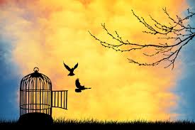Bird In A Gilded Cage Lyrics Love Lets Us Be Free February 26 Animal Canvas Wall Art Prints Wall Art