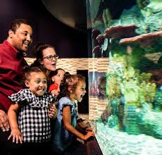 Best management practices for protection of water resources. Education Spotlight Cook Museum Of Natural Science Rocket City Mom