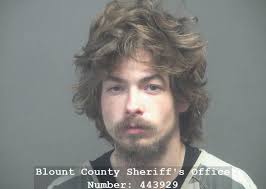 ROBERTS, RUSSELL LANE Charges: DOMESTIC ASSAULT INTERFERENCE WITH EMERGENCY  CALLS RECKLESS ENDANGERMENT (NO WEAPON/NO INJ) This information and more is  available https://apps.myocv.com/share/a95737804